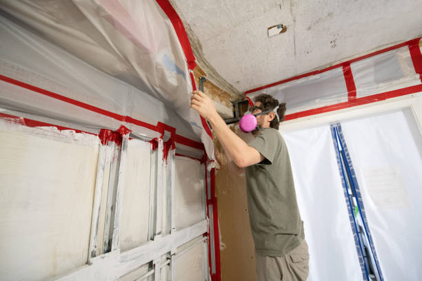 Best Post-Remediation Verification Testing  in Pine Bluffs, WY