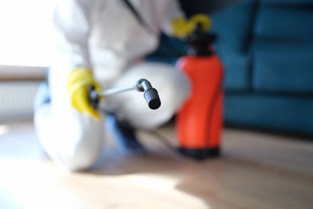 Best Commercial Mold Inspection  in Pine Bluffs, WY