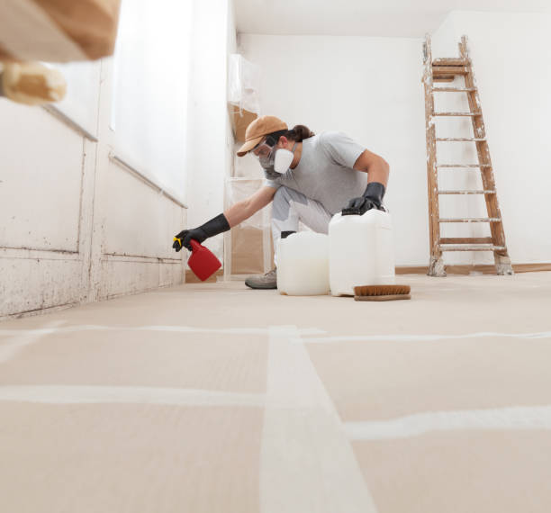 Biohazard Mold Removal in Pine Bluffs, WY