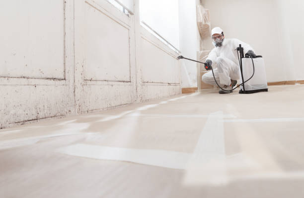 Best Mold Damage Restoration  in Pine Bluffs, WY