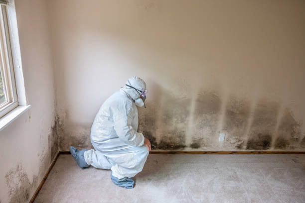 Best Air Quality Testing for Mold Spores  in Pine Bluffs, WY